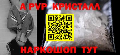 кокс Кингисепп