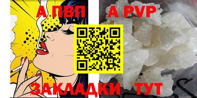 кокс Кингисепп