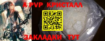кокс Кингисепп