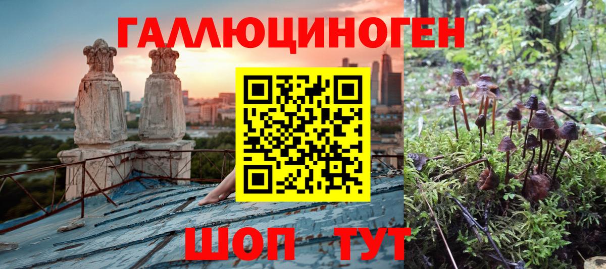 продажа наркотиков  Вход с VPN  Псилоцибиновые грибы мухоморы  Янаул  Галлюциногенные грибы Cubensis 